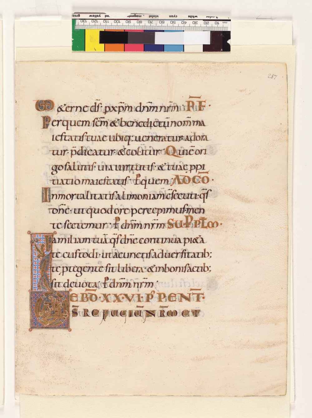 Image