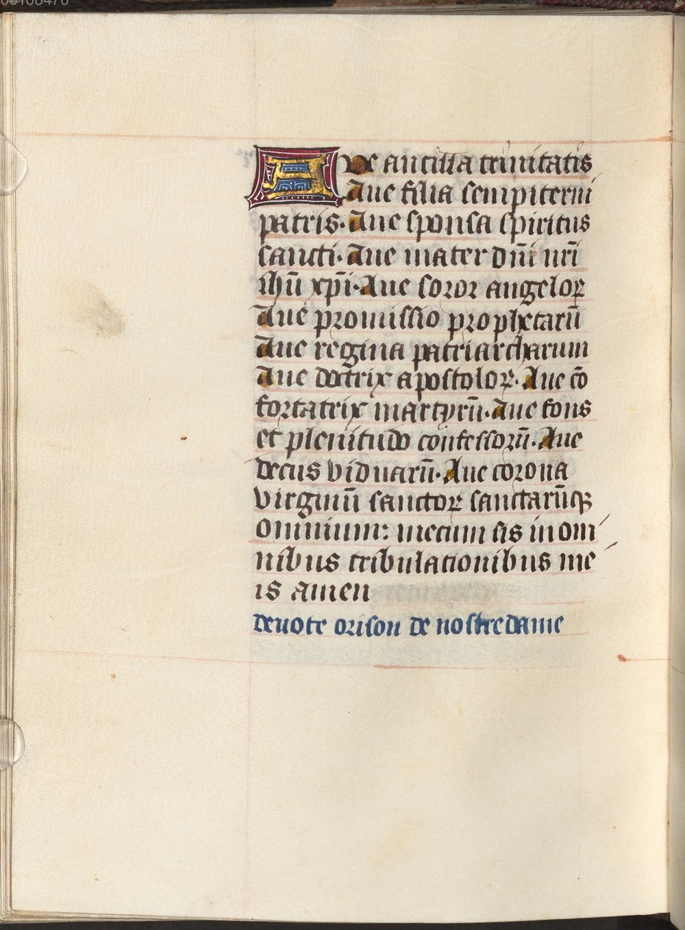 Image
