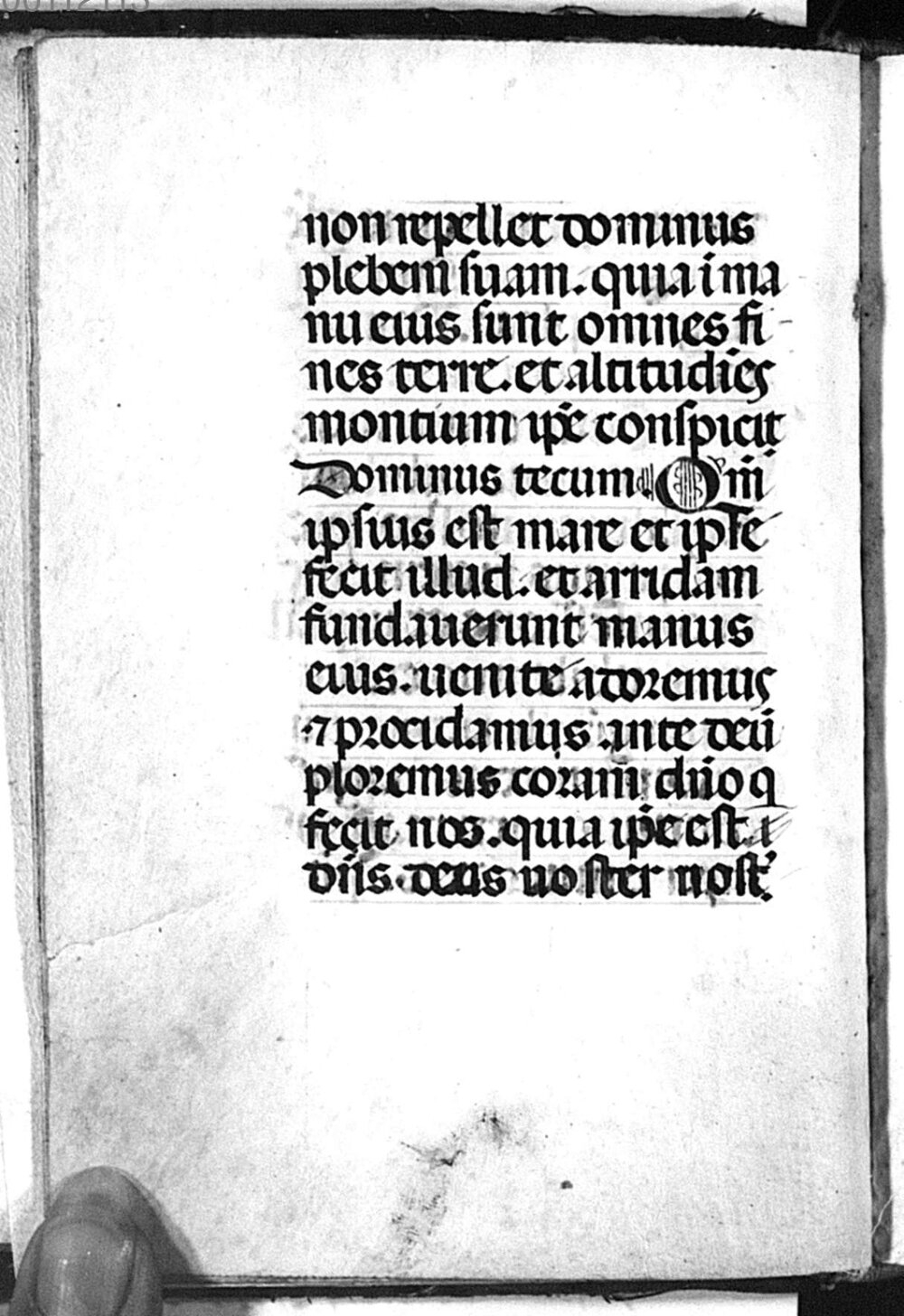 Image