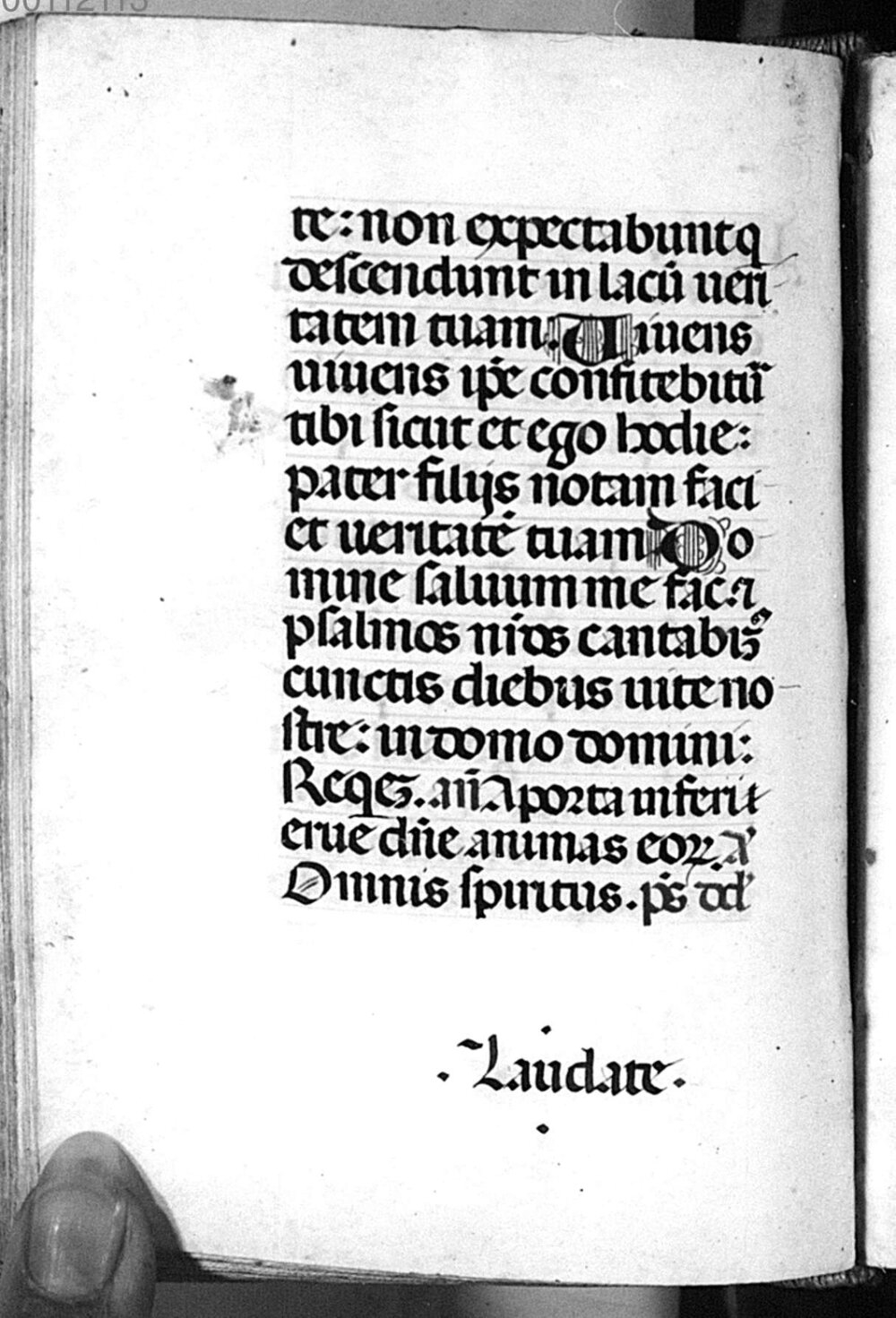 Image