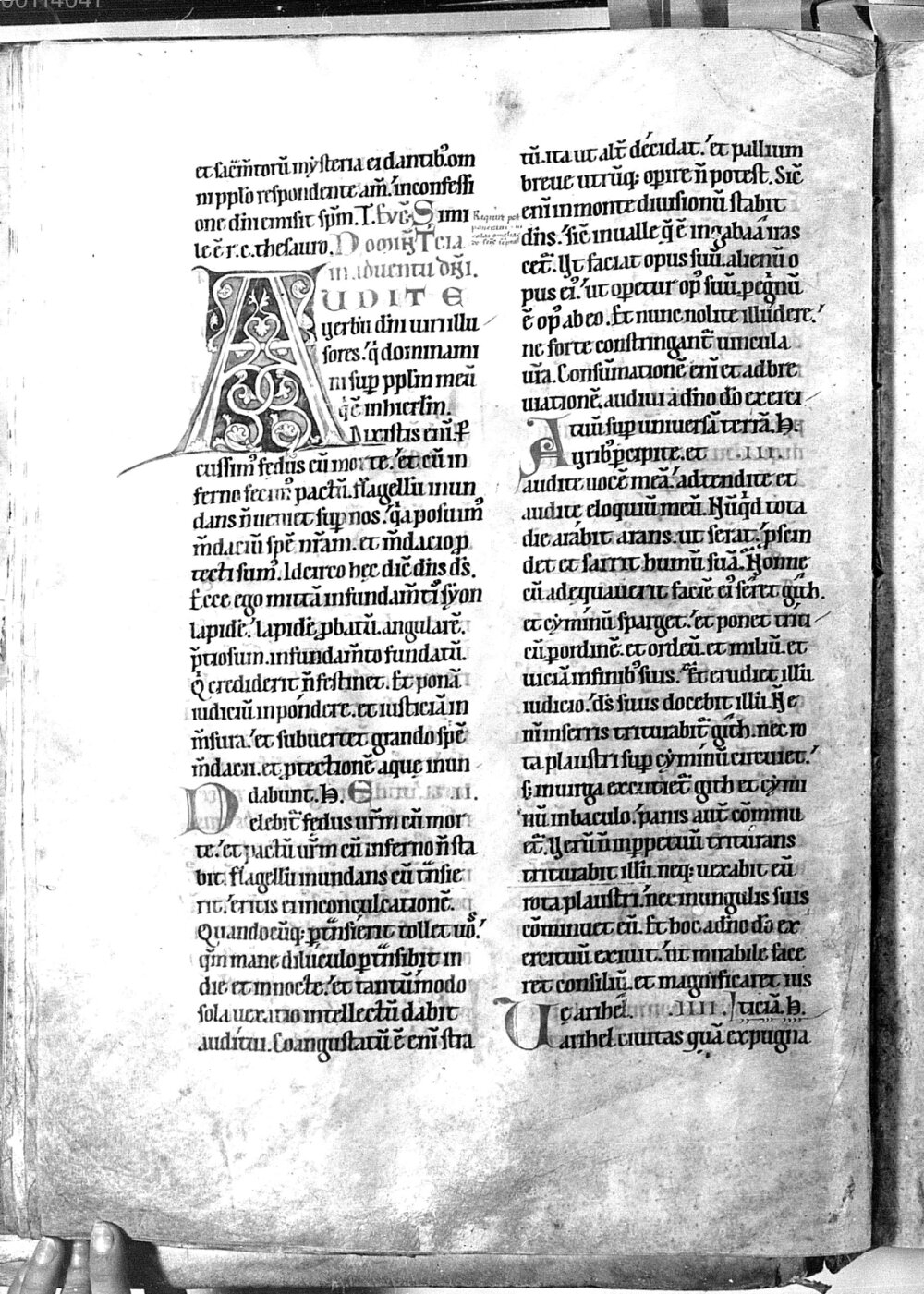 Image