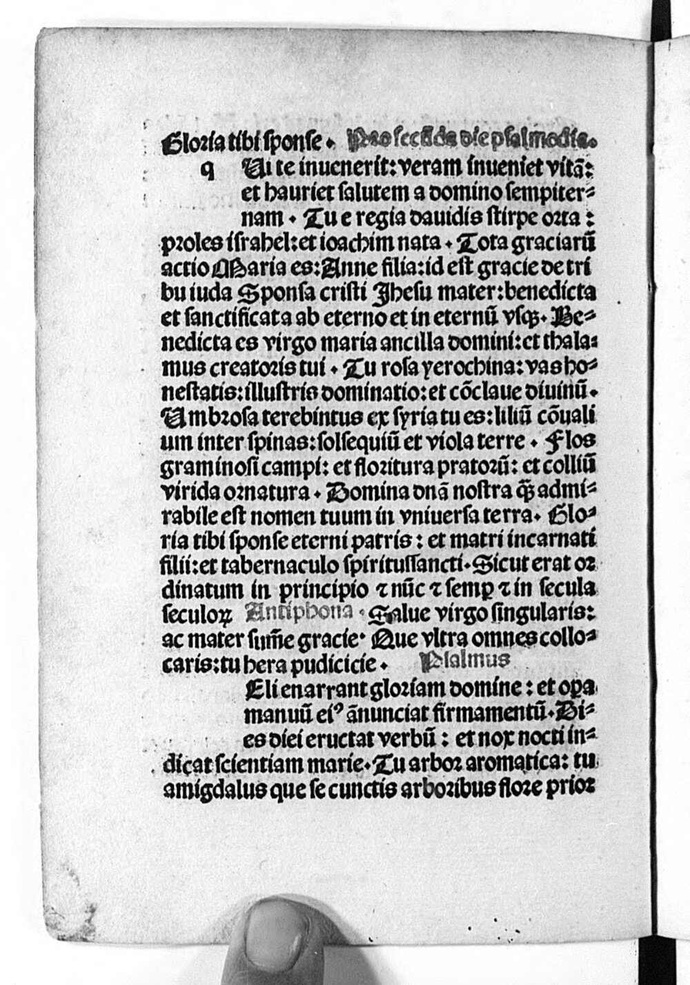 Image