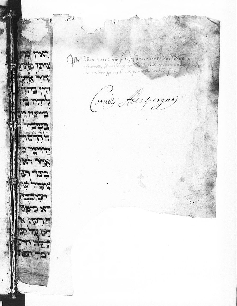 Image