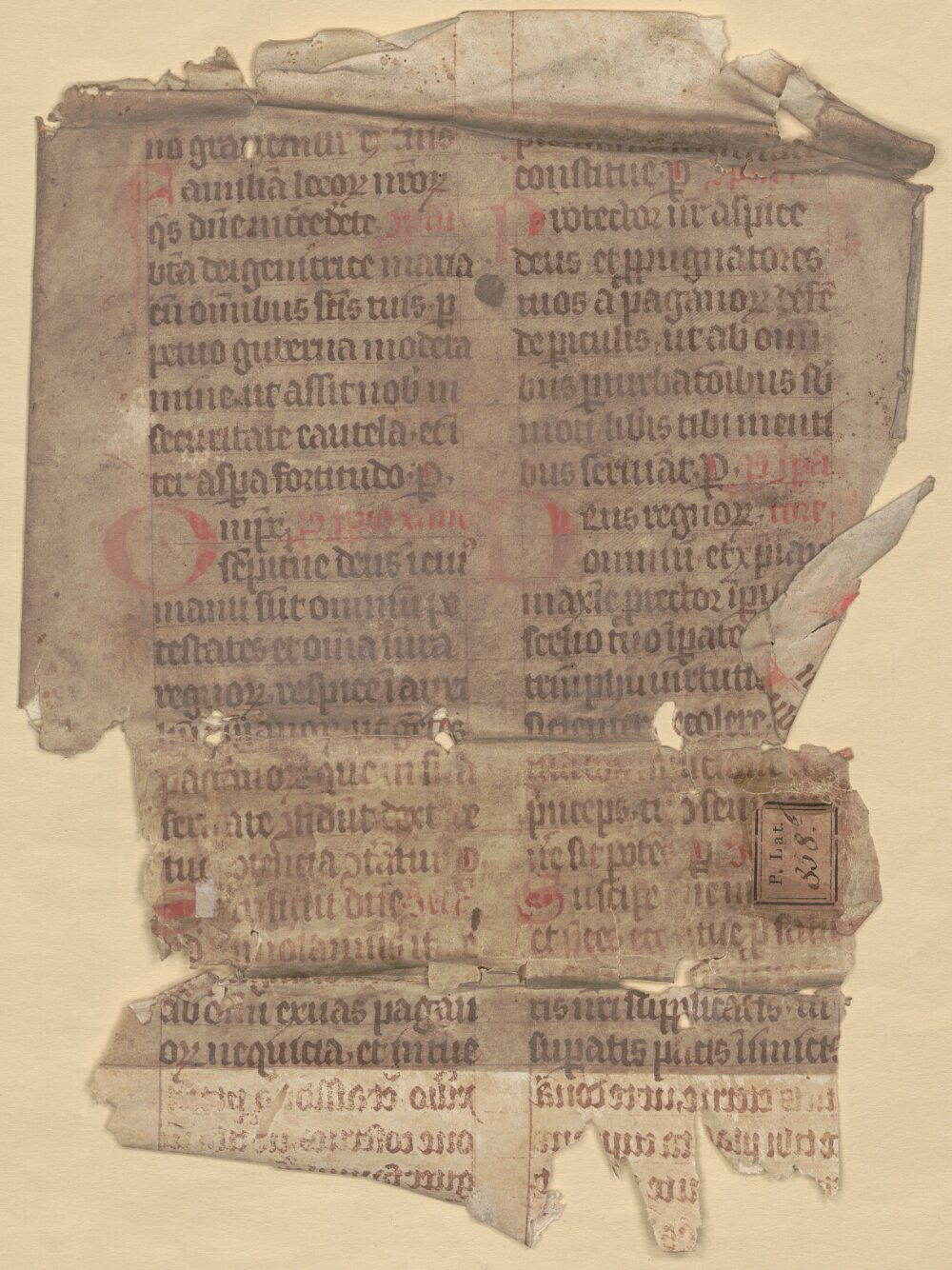 Image