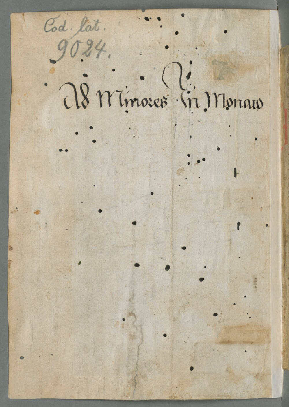 Image