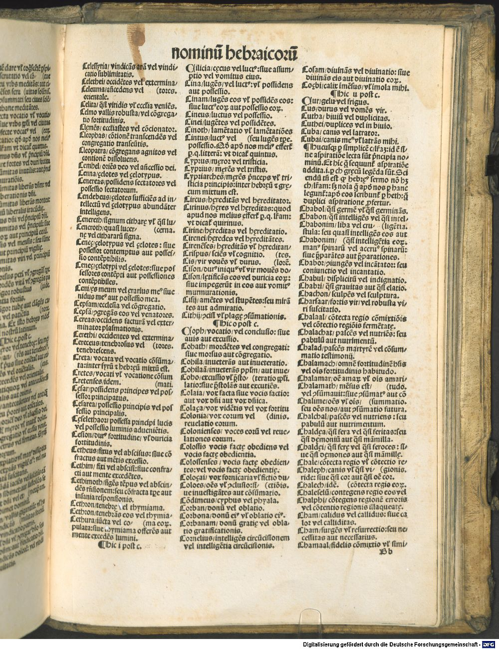 Image