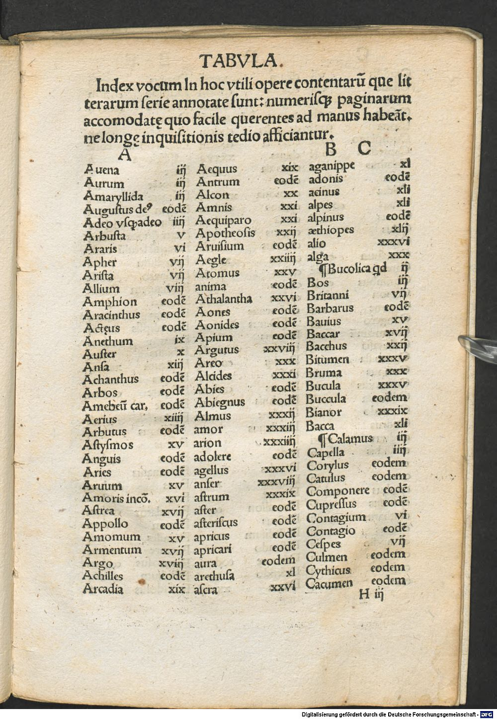 Image