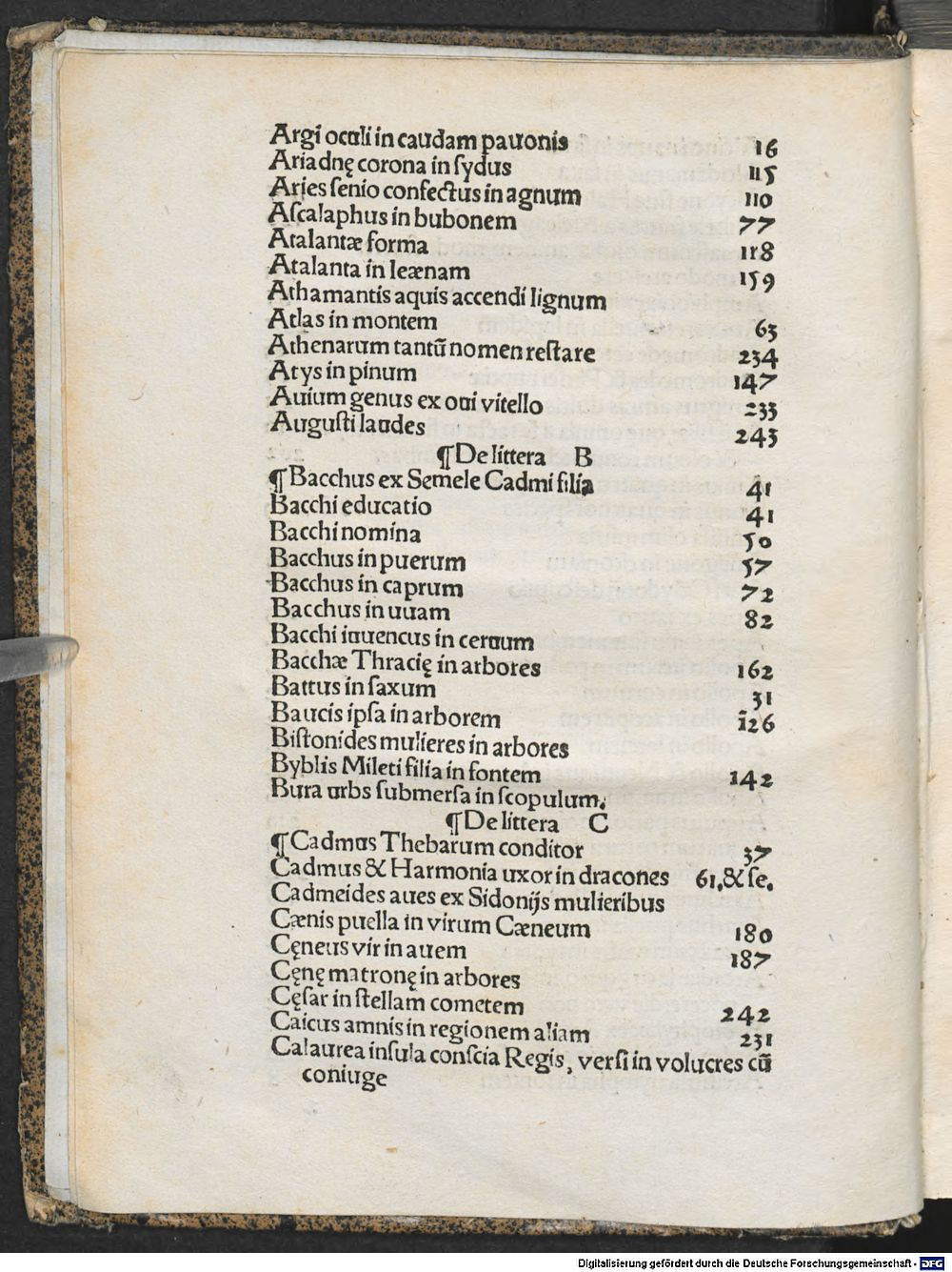 Image