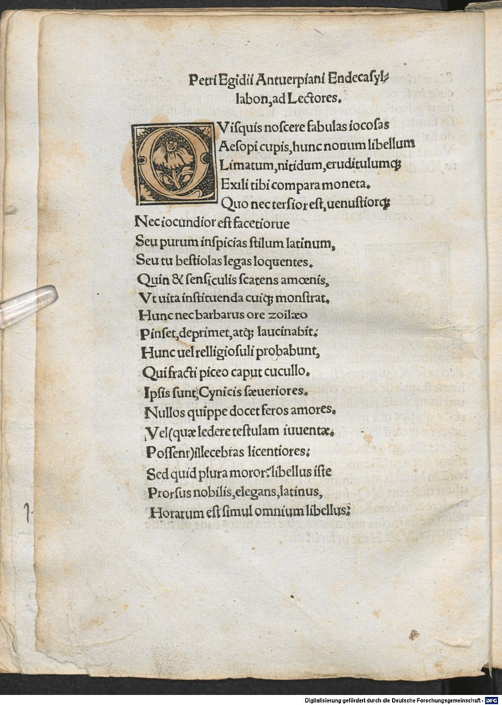 Image
