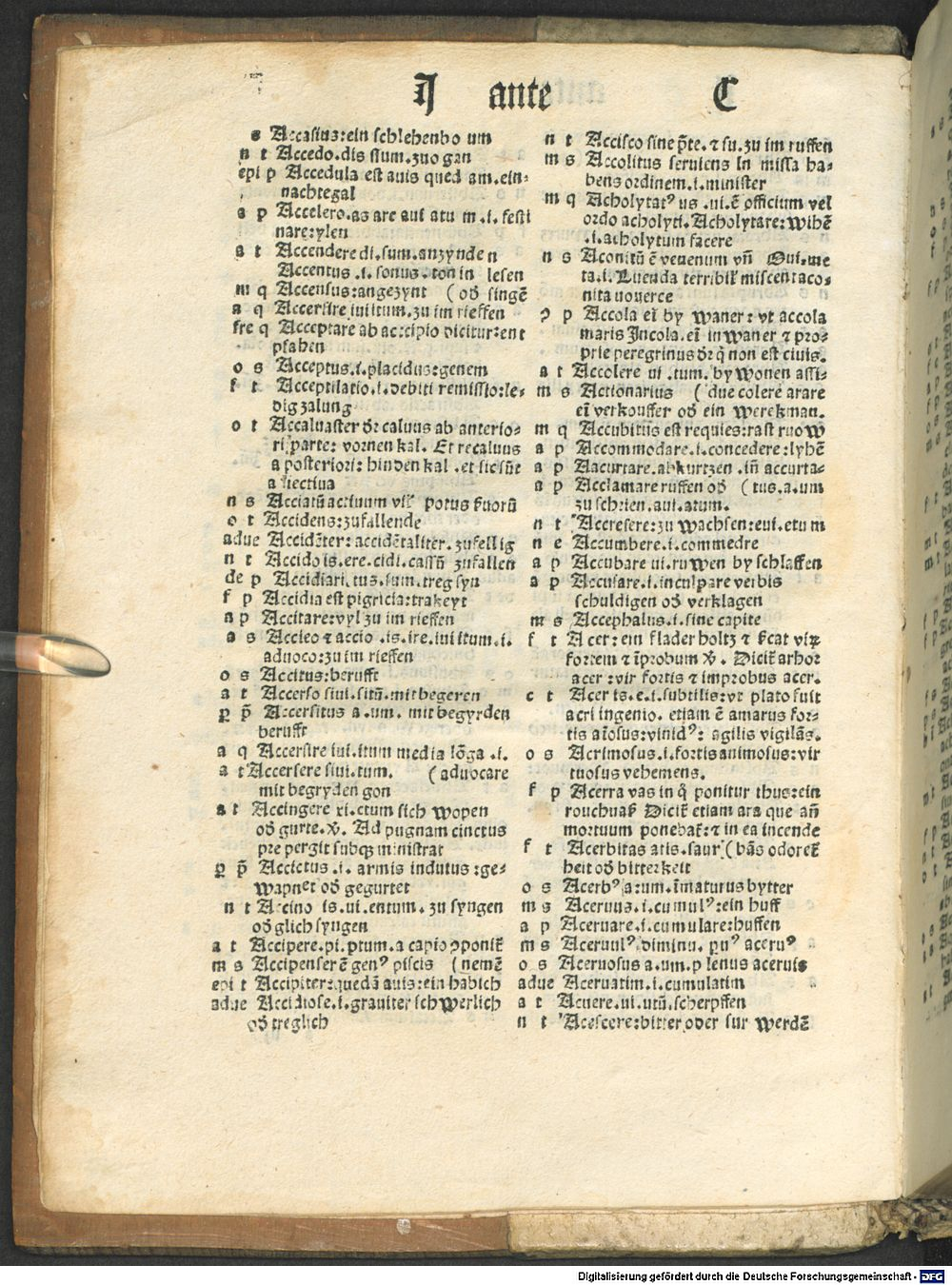 Image