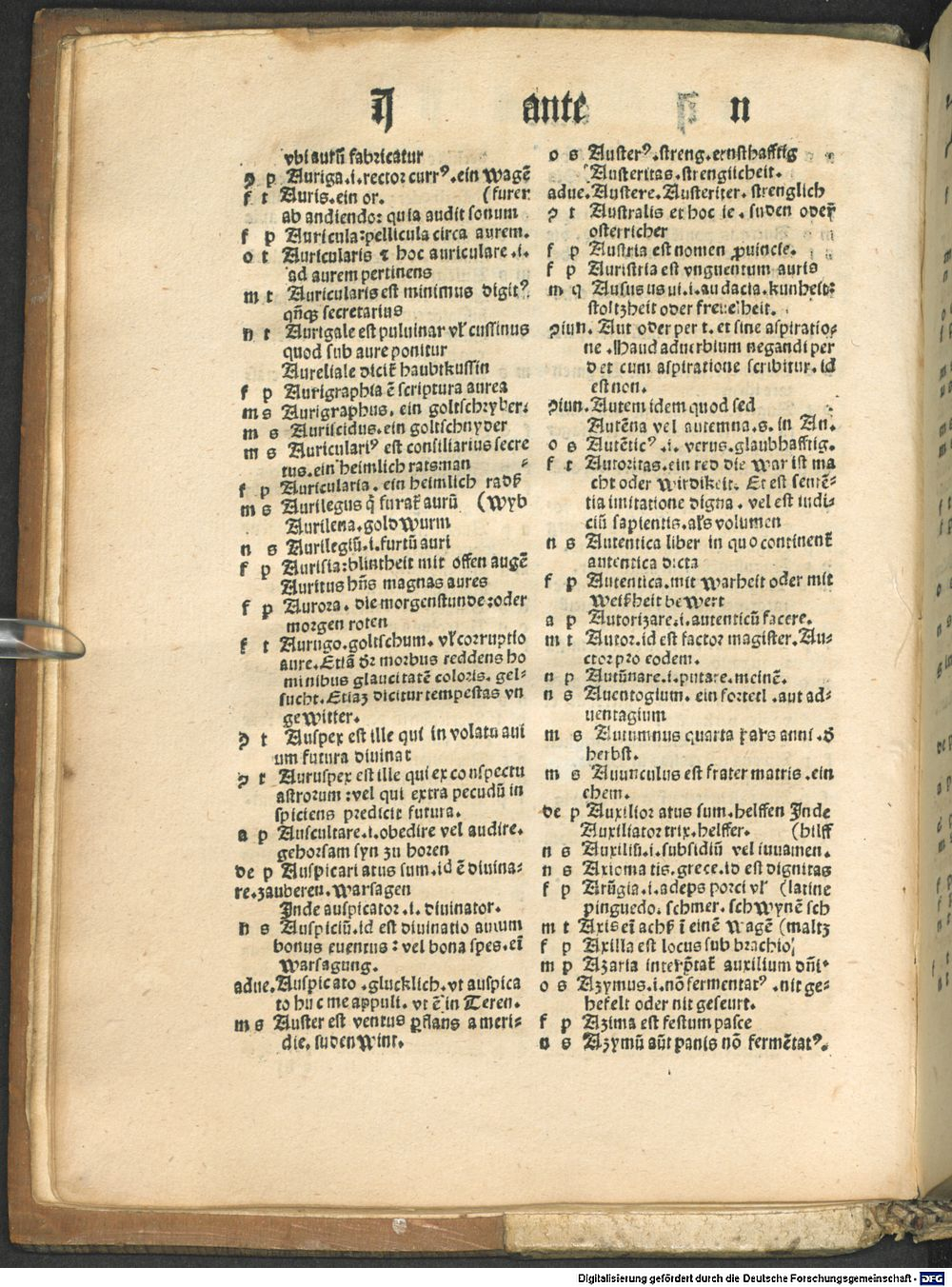 Image