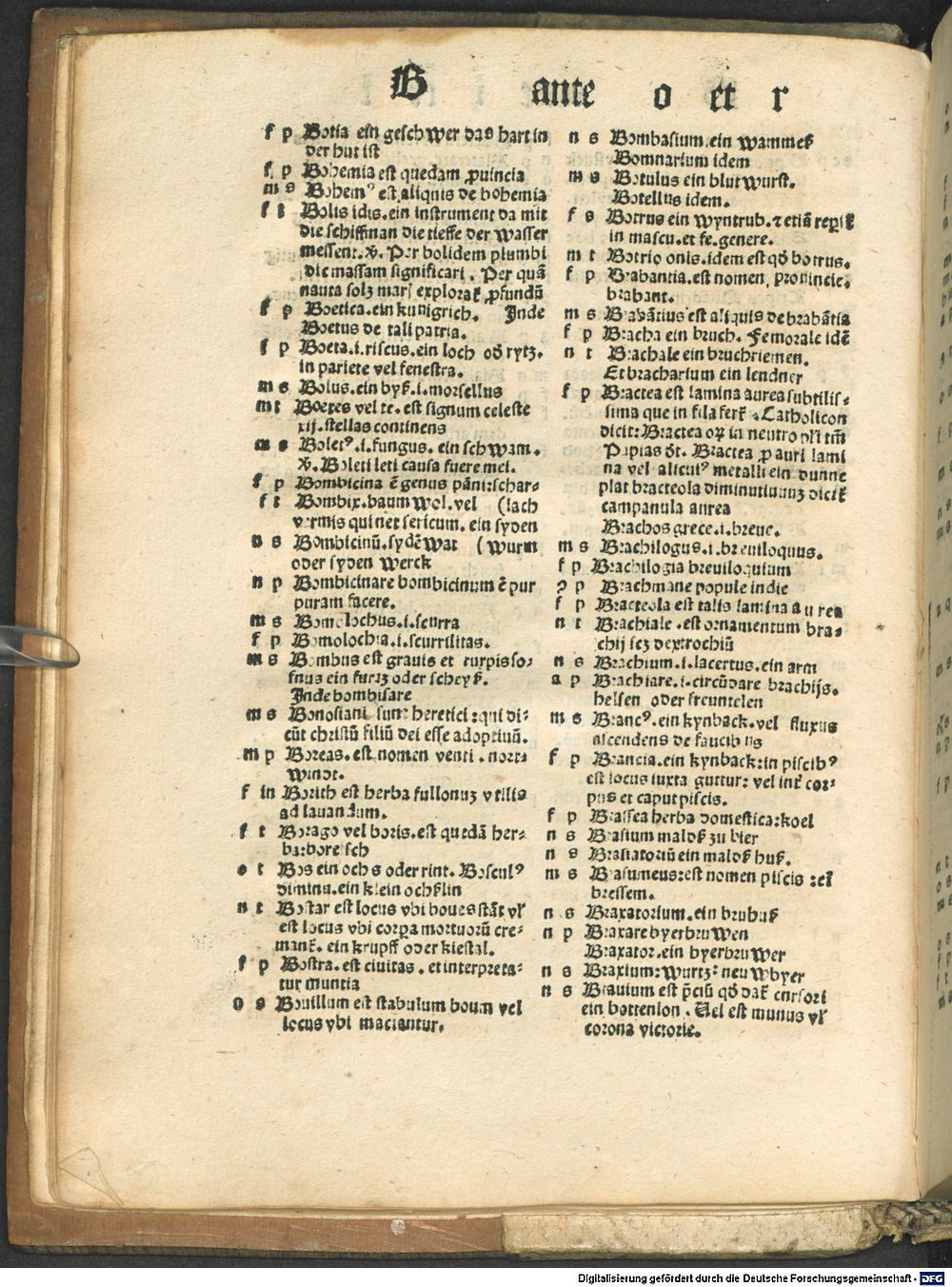 Image