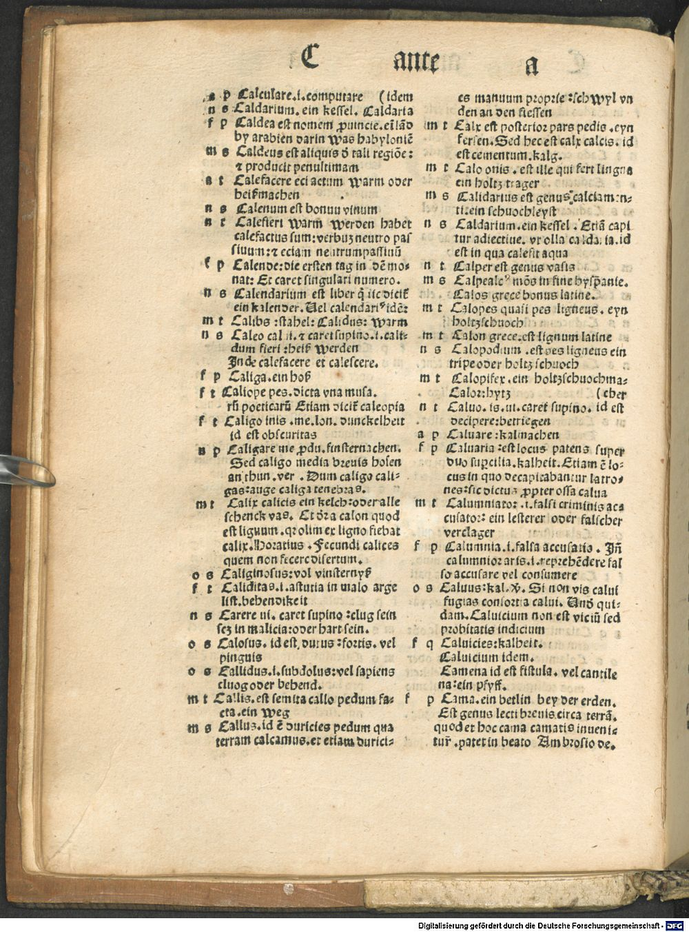 Image