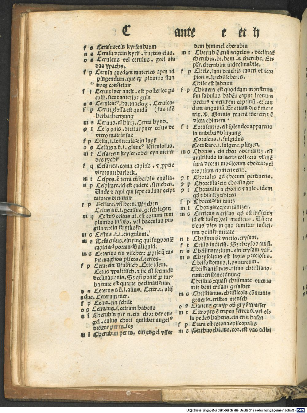 Image