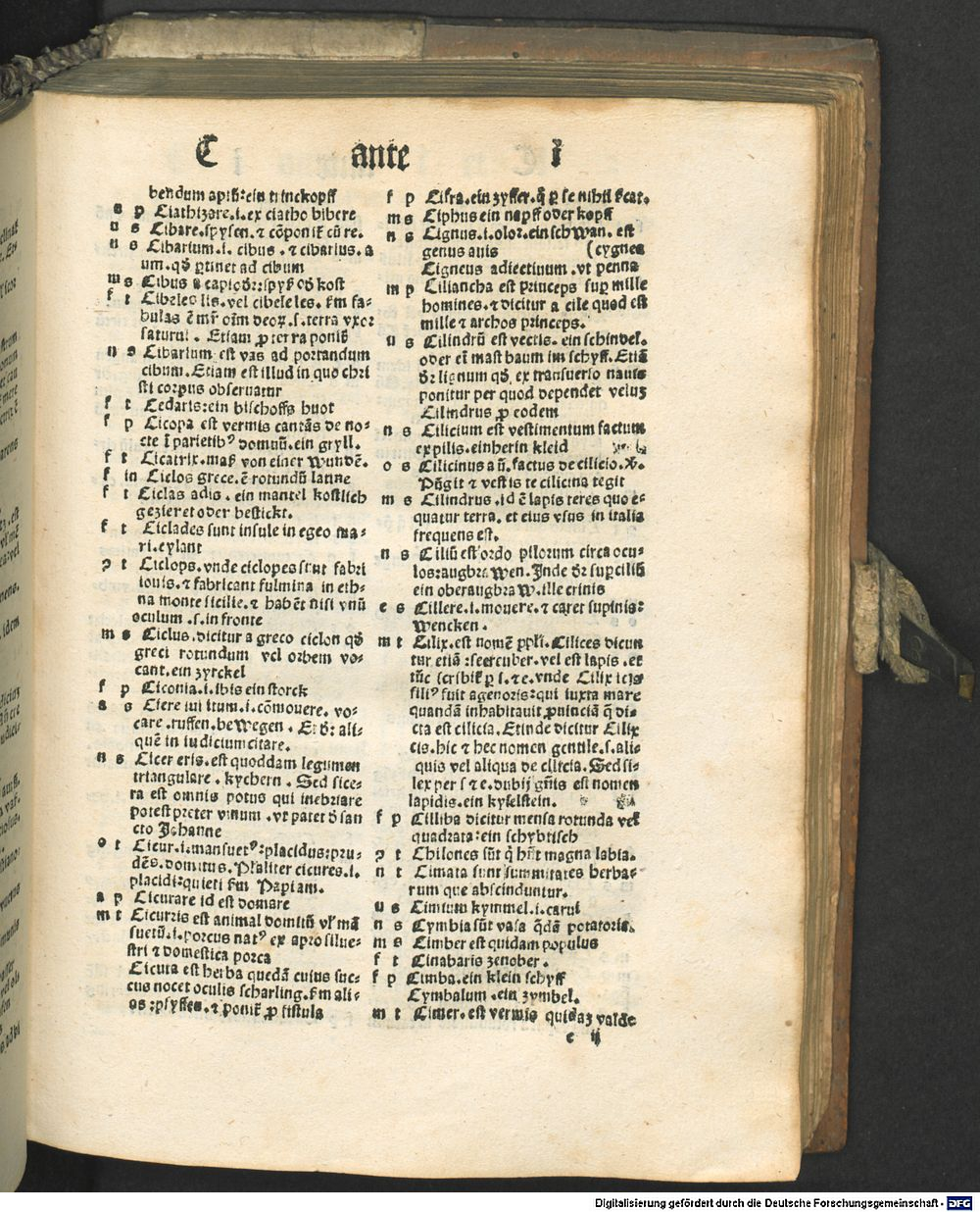 Image