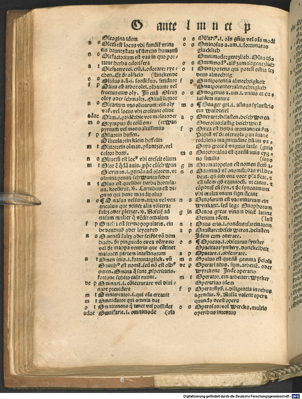 Image