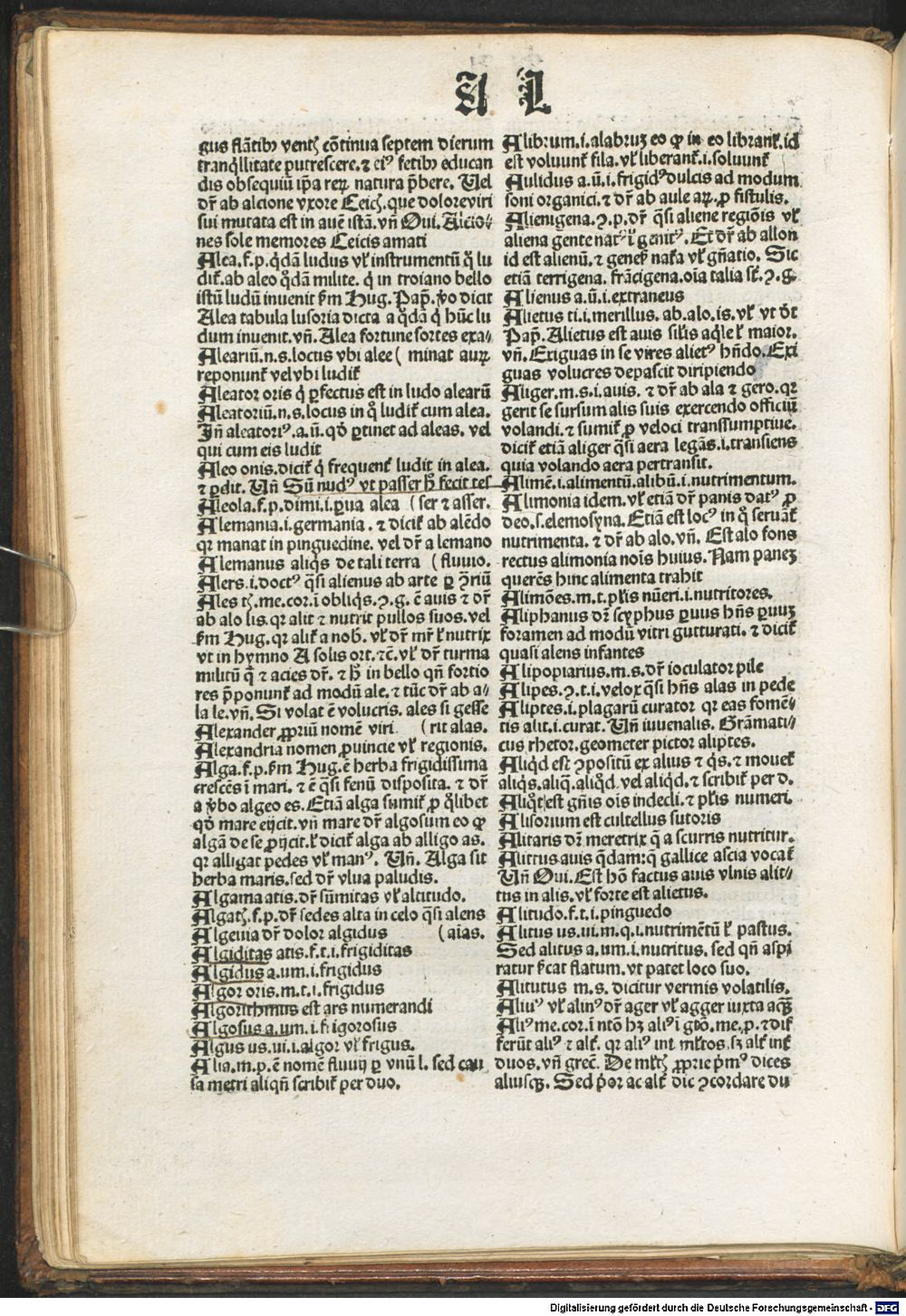Image