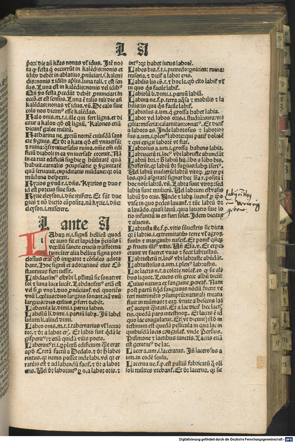 Image