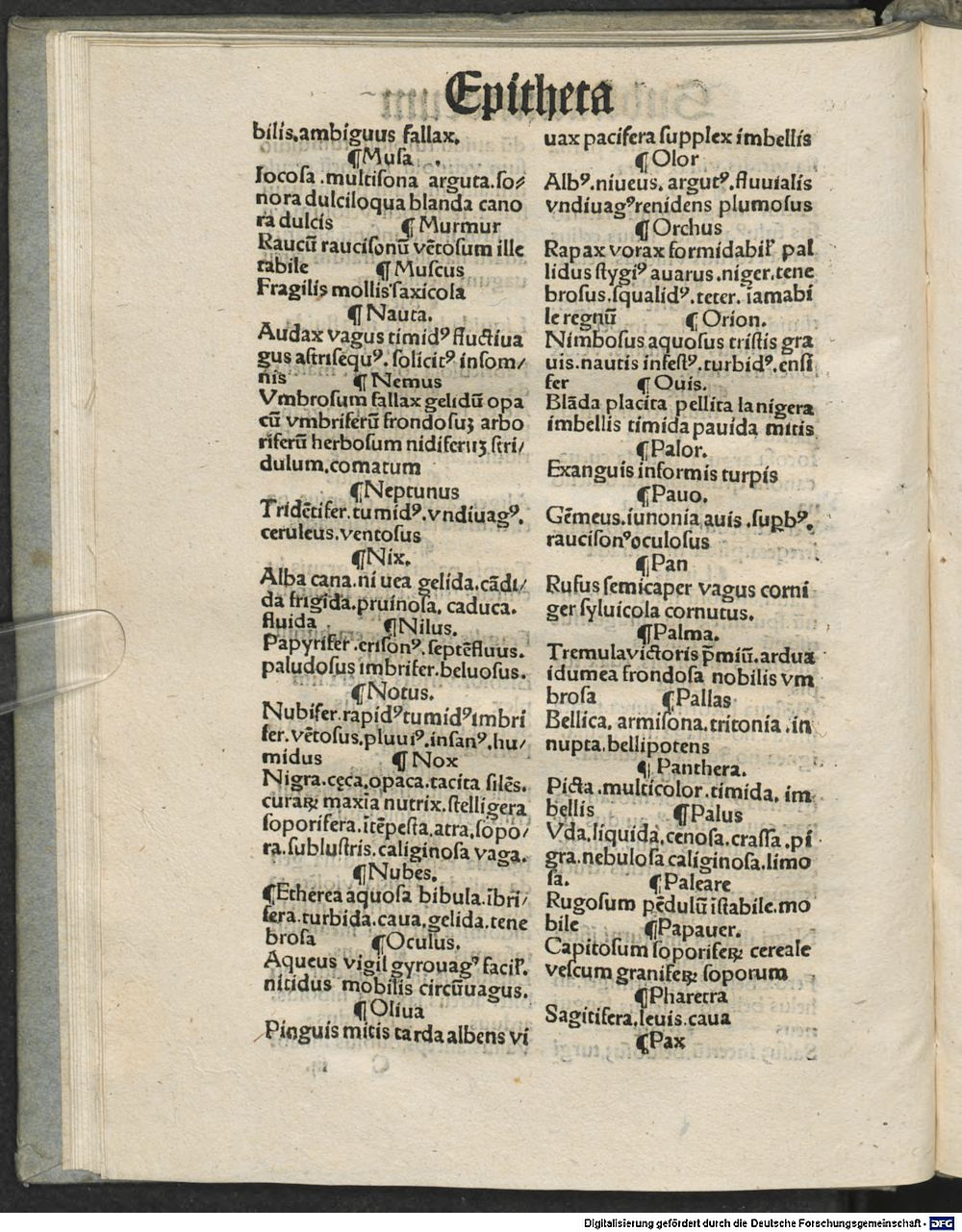 Image