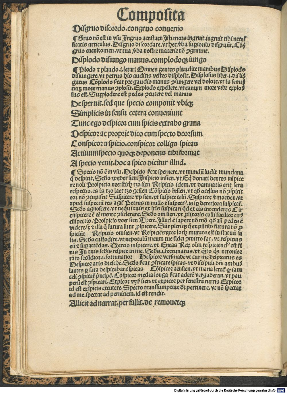 Image