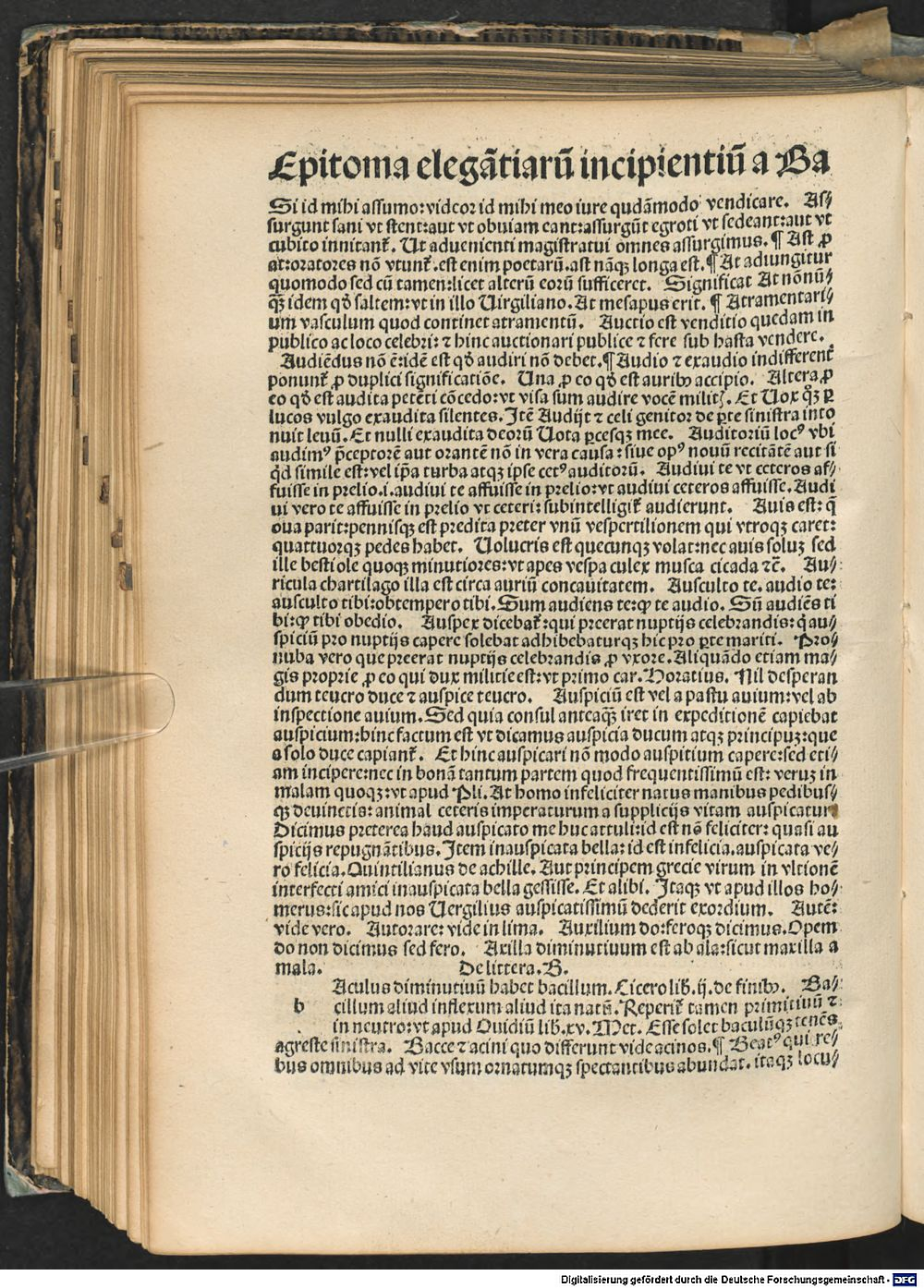 Image