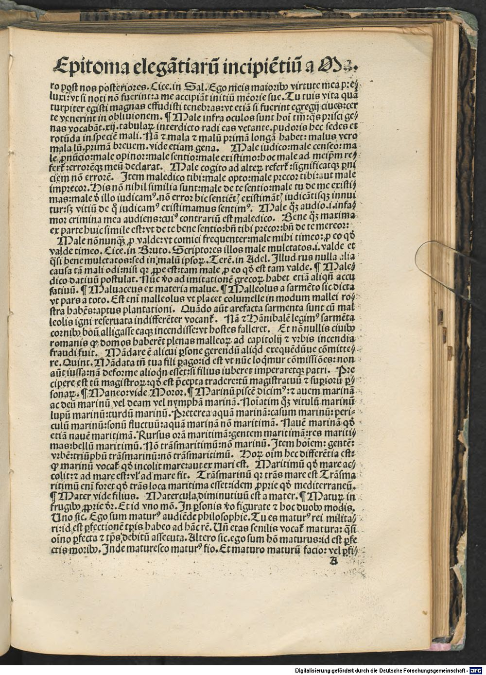 Image