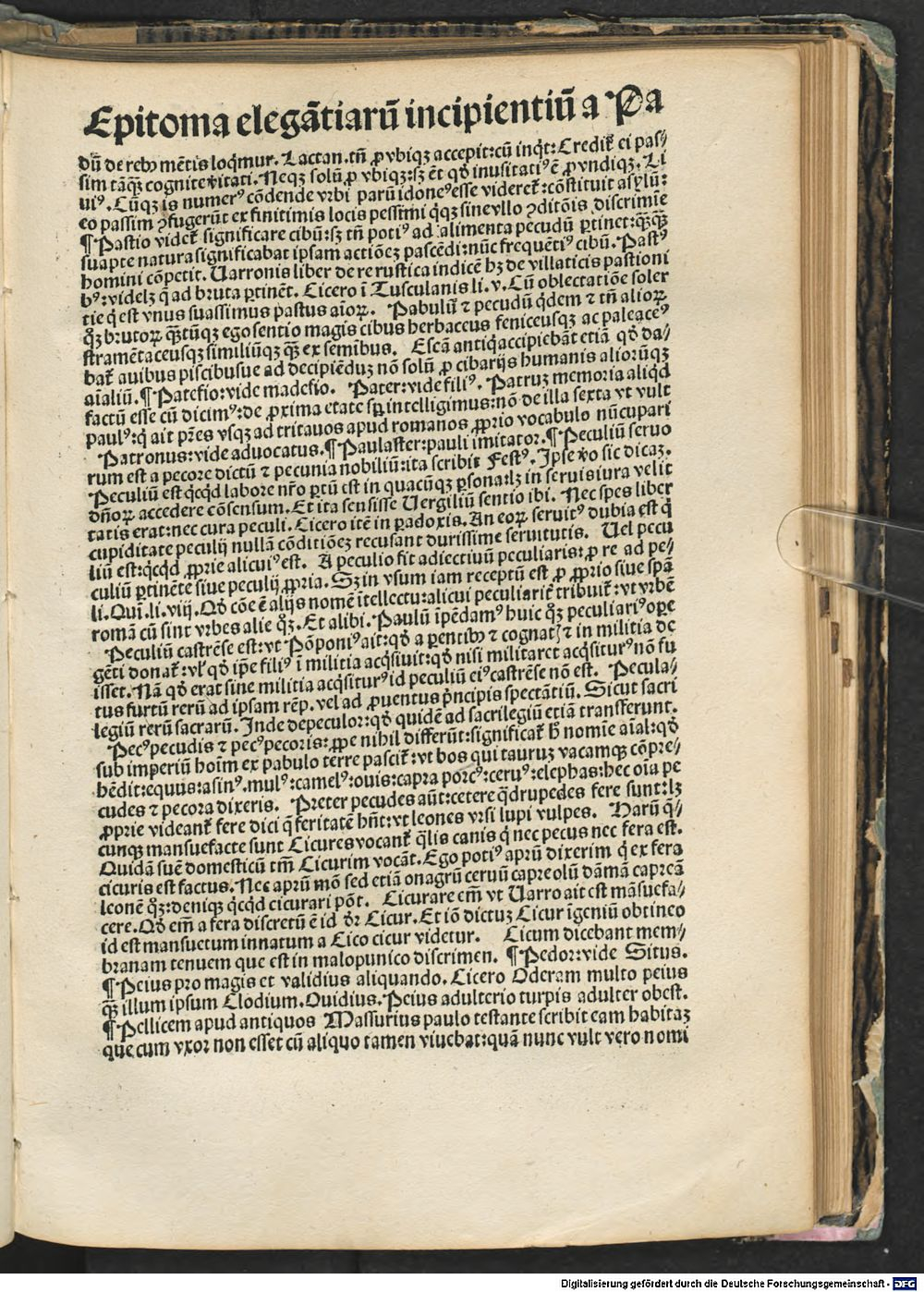 Image