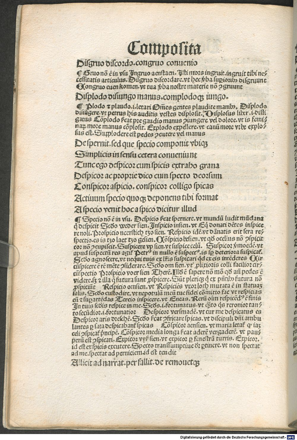 Image