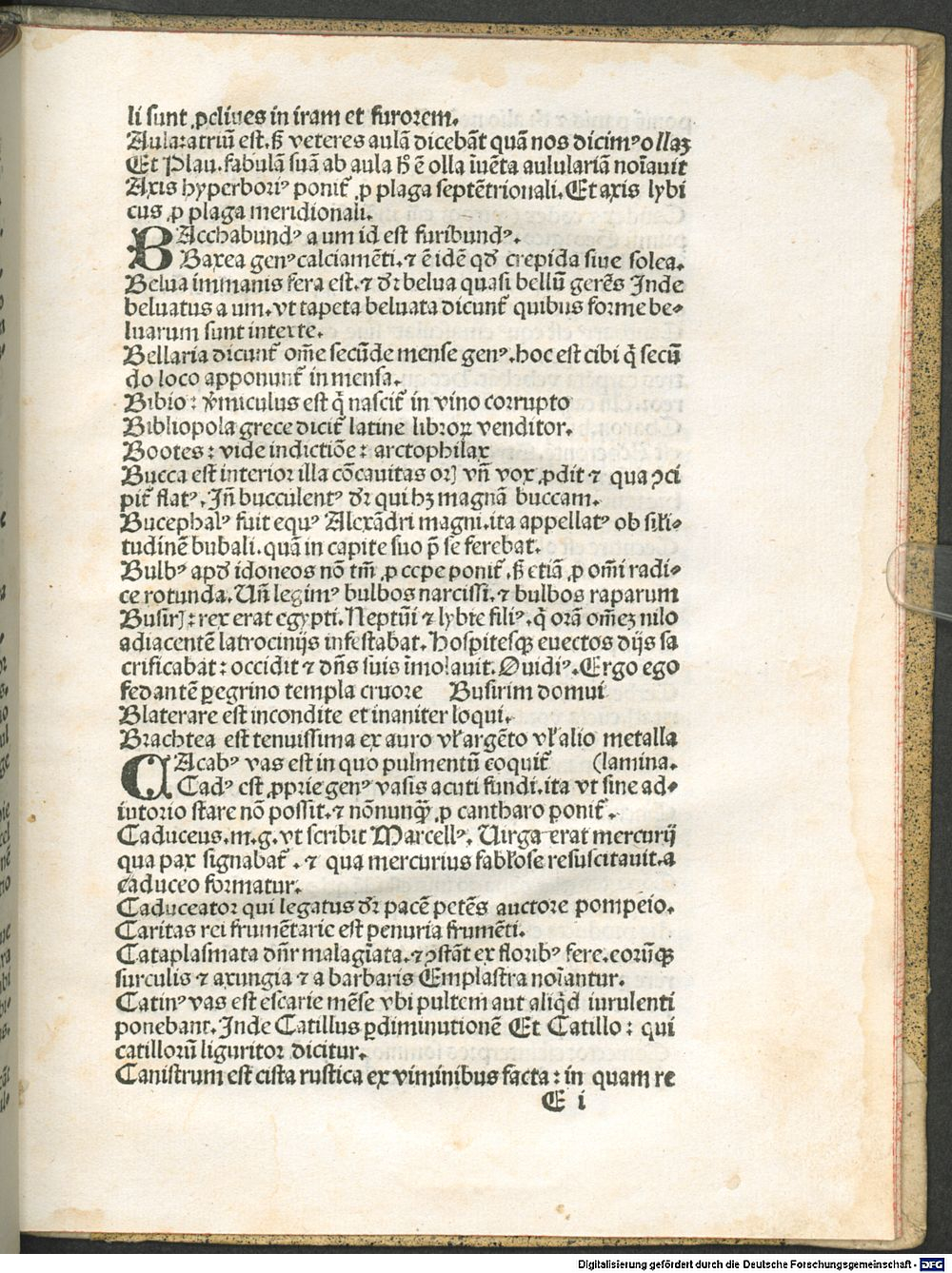 Image