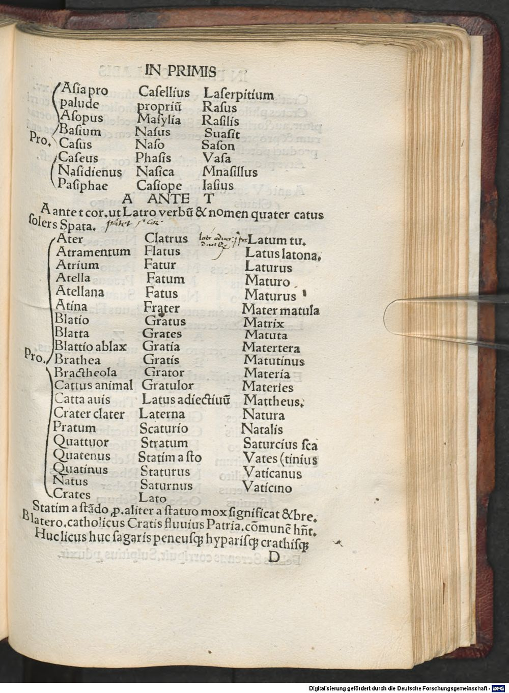Image