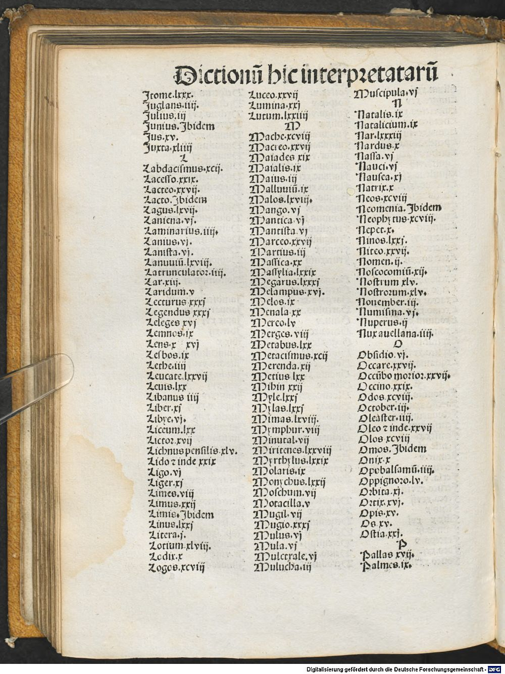 Image