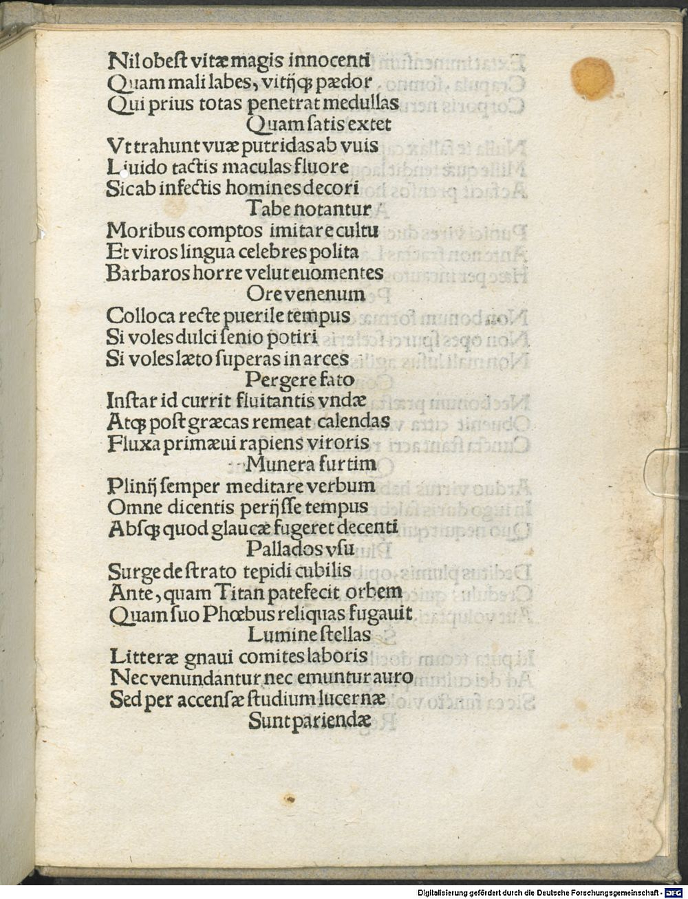 Image