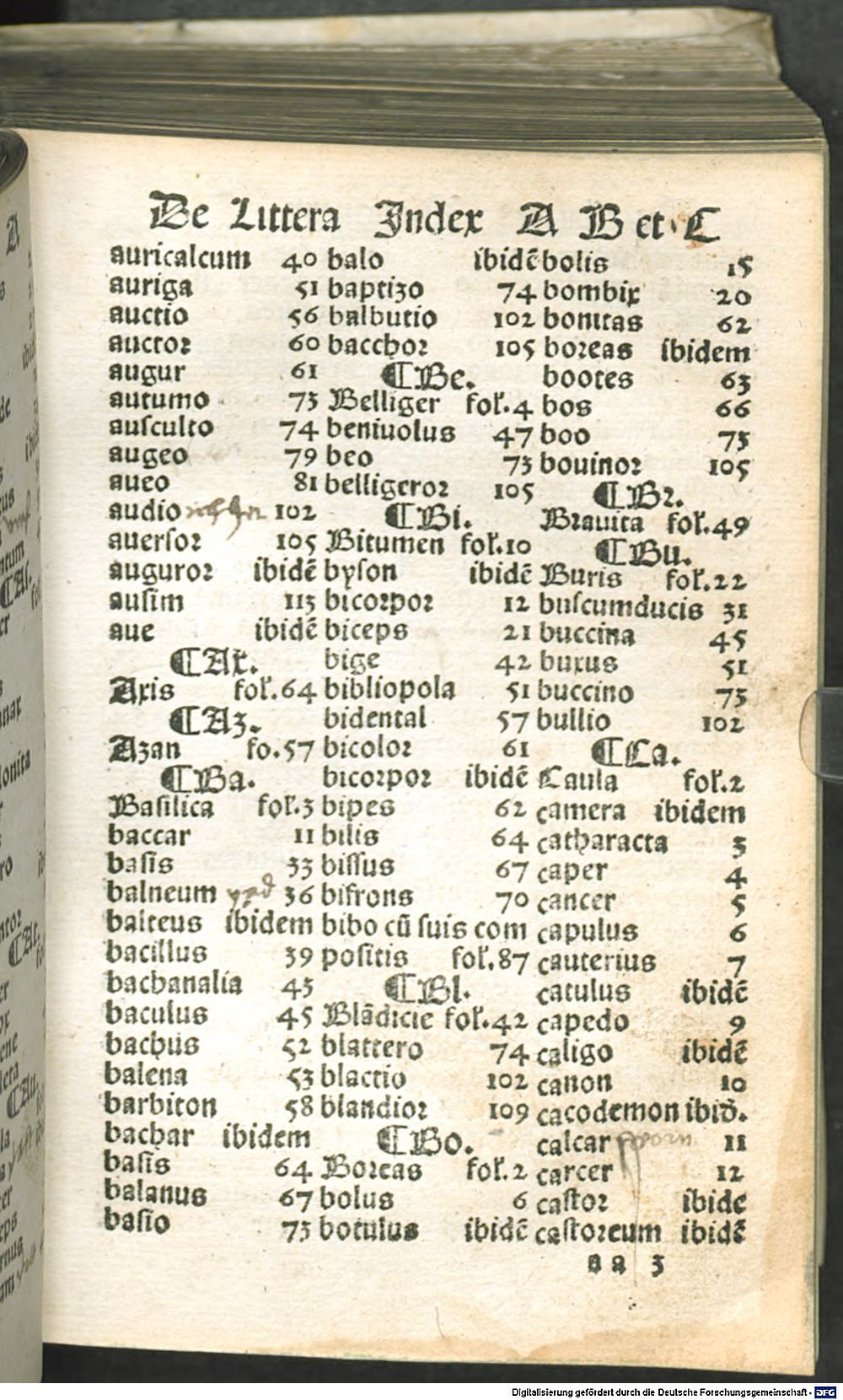 Image