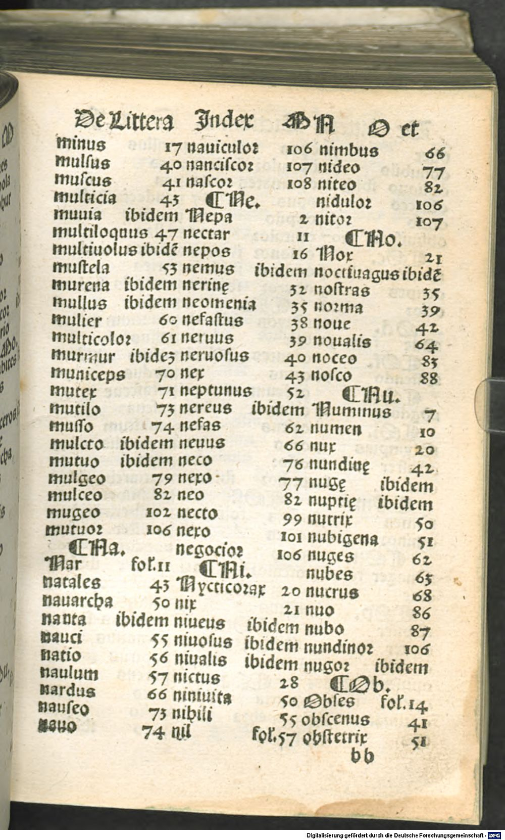 Image