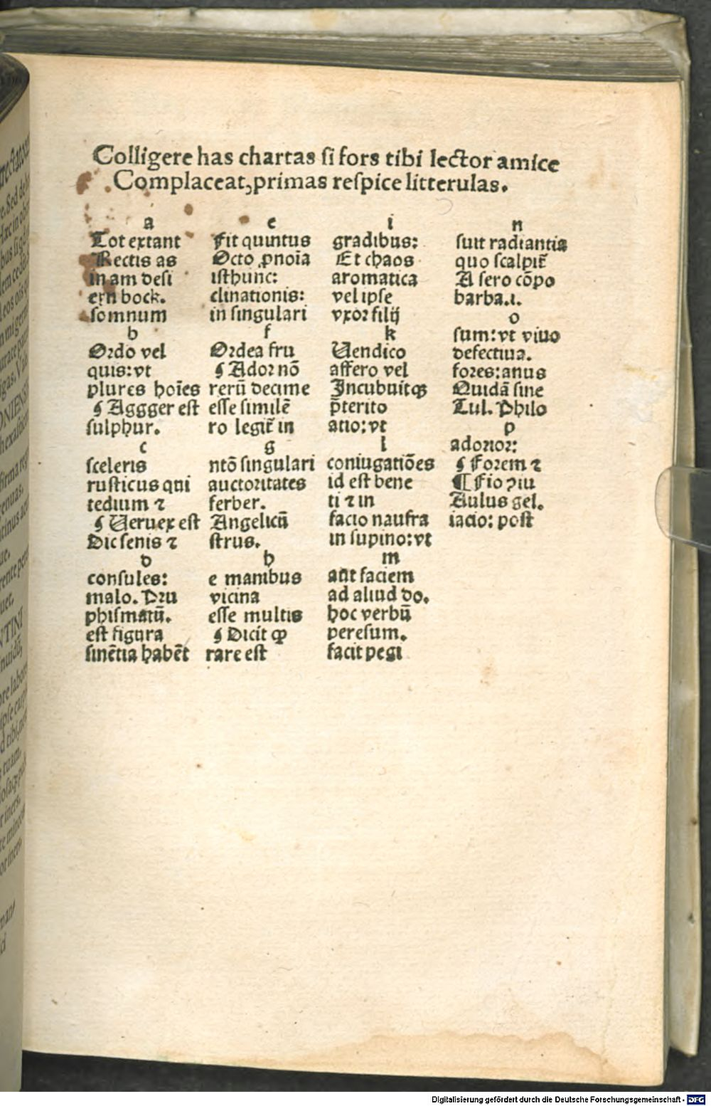 Image