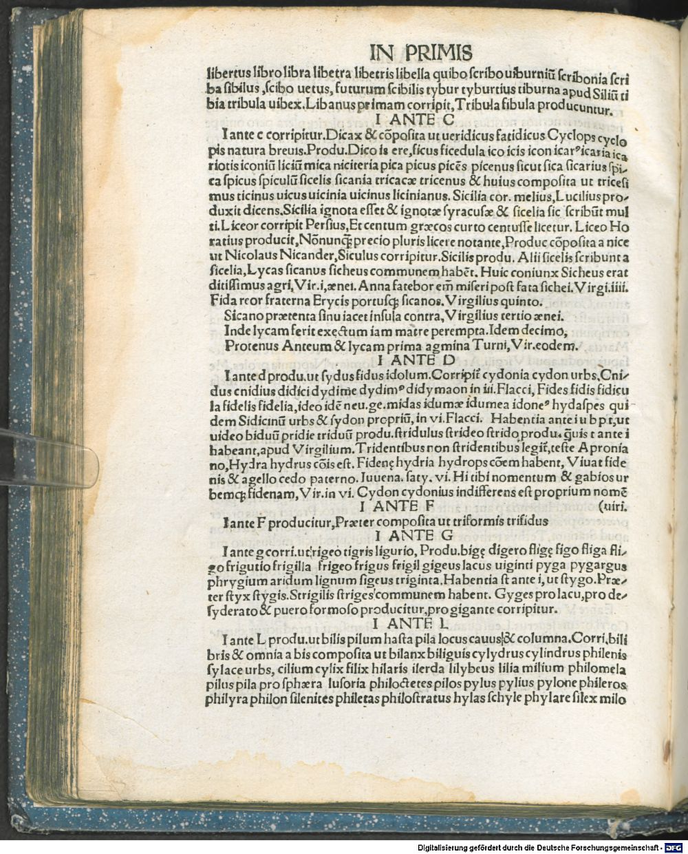 Image