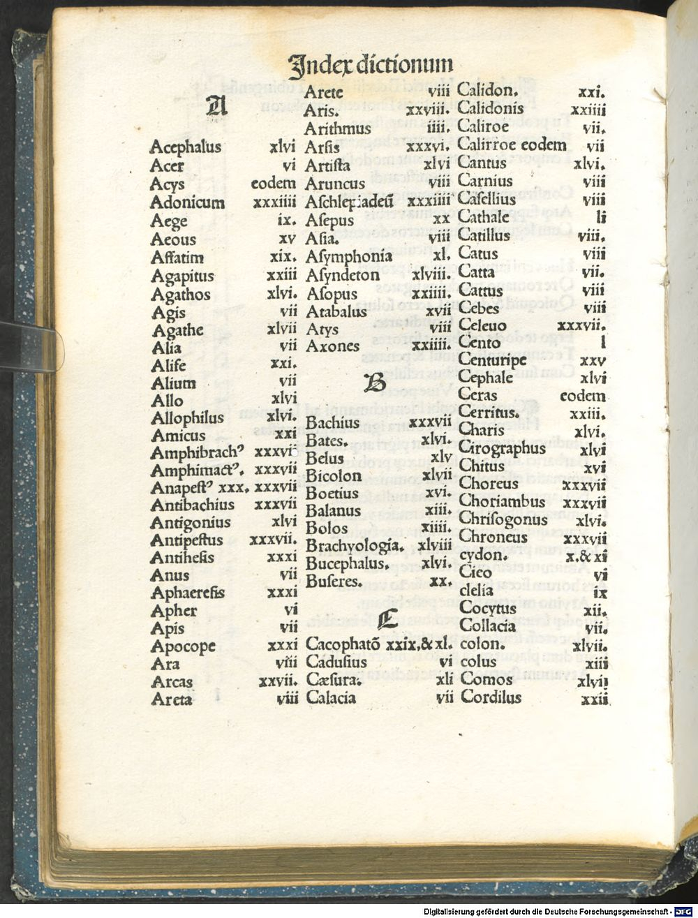 Image