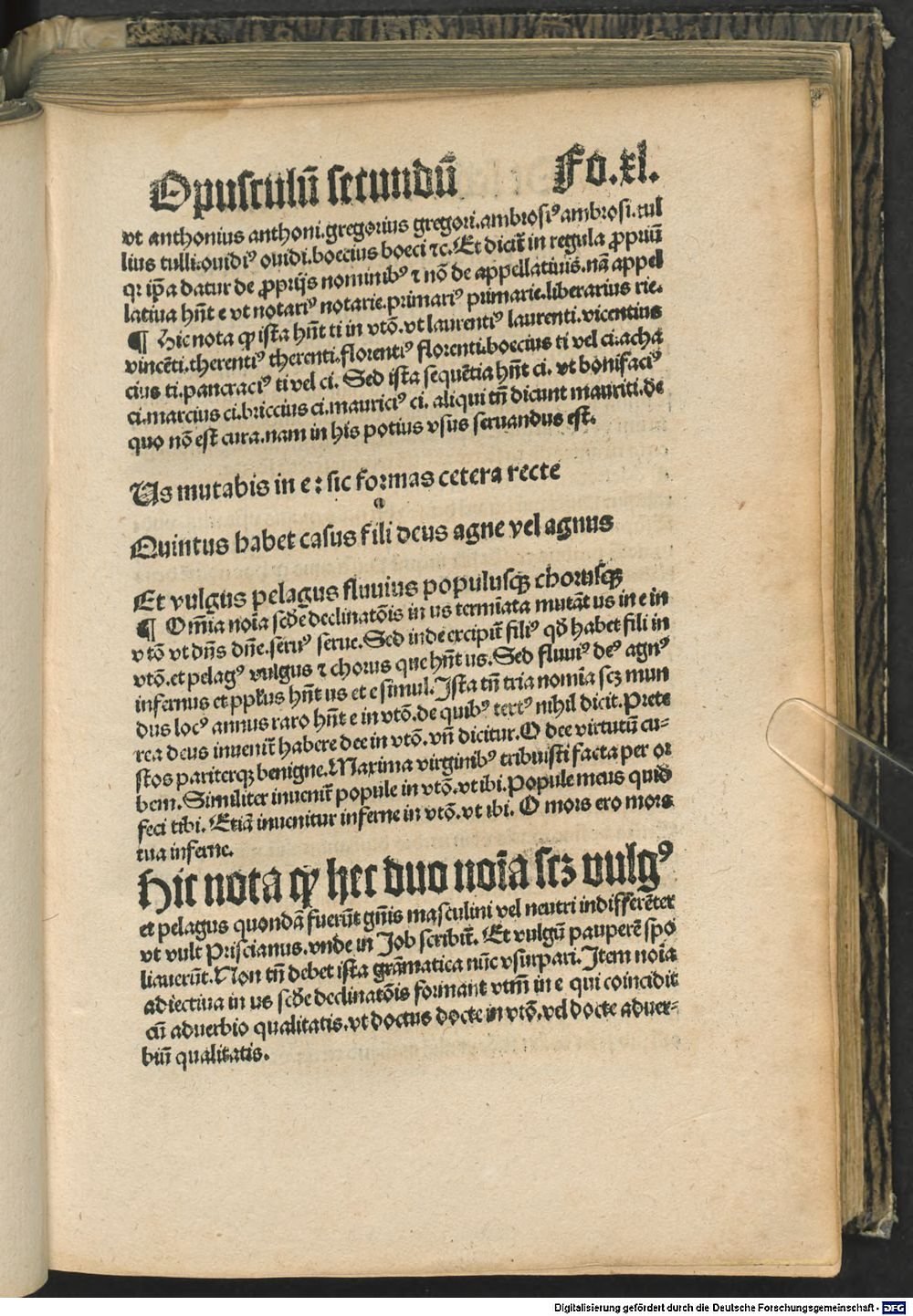 Image