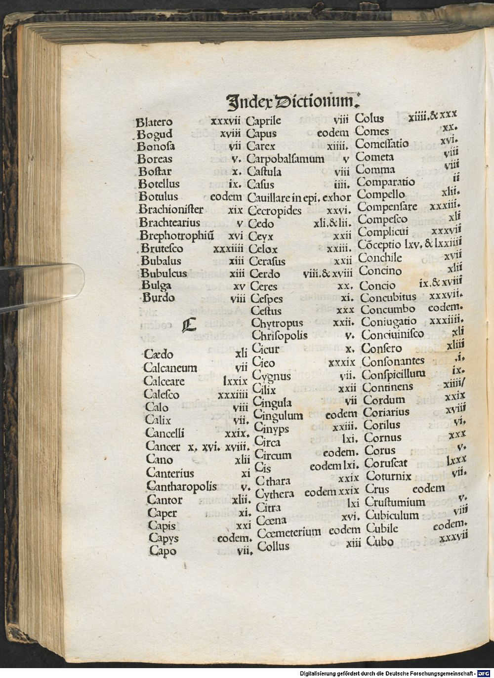 Image