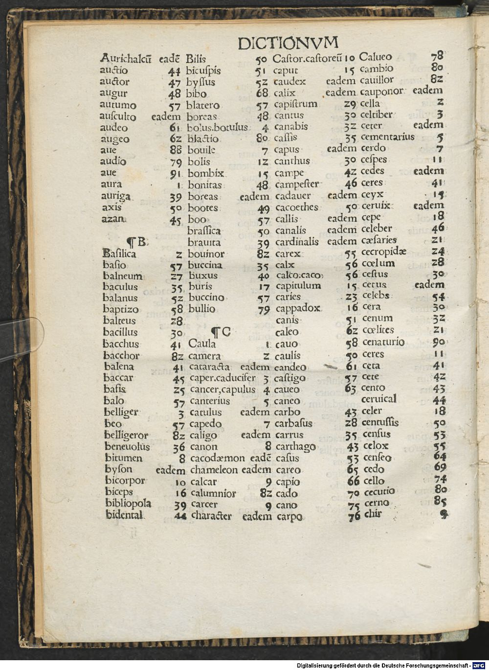 Image