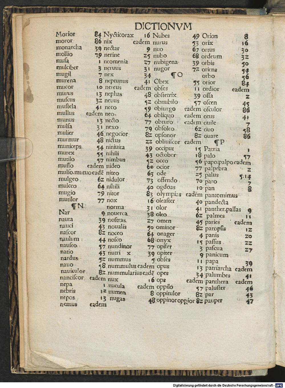 Image