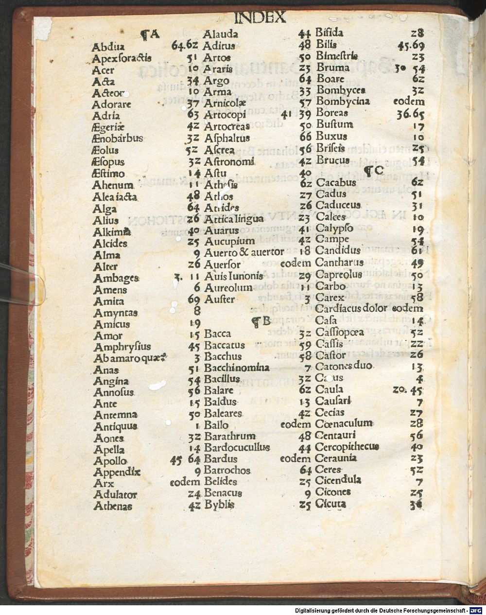 Image