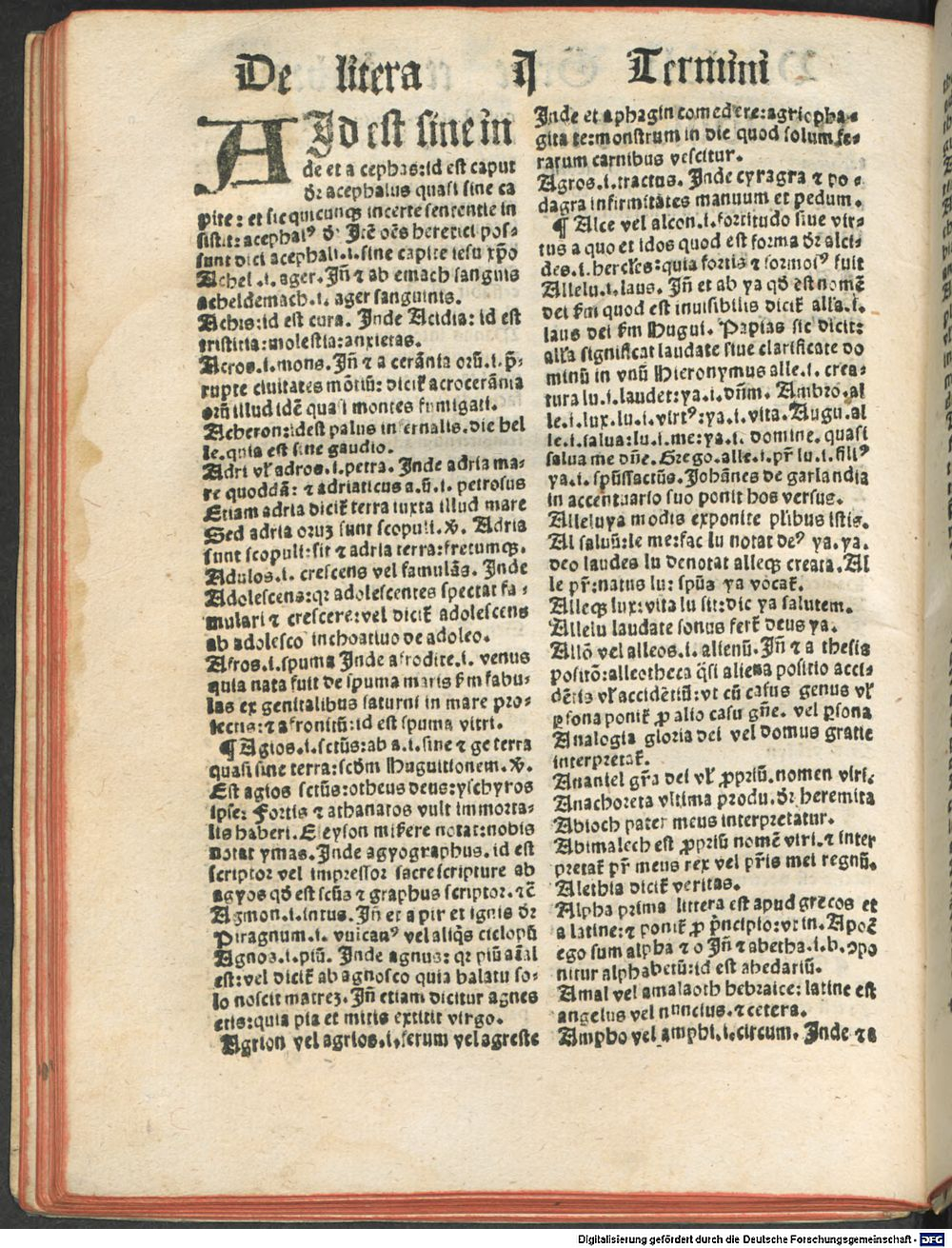Image