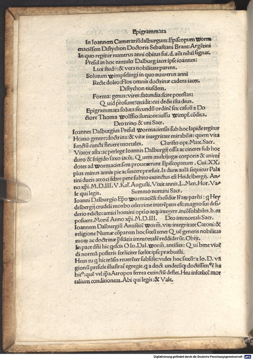 Image