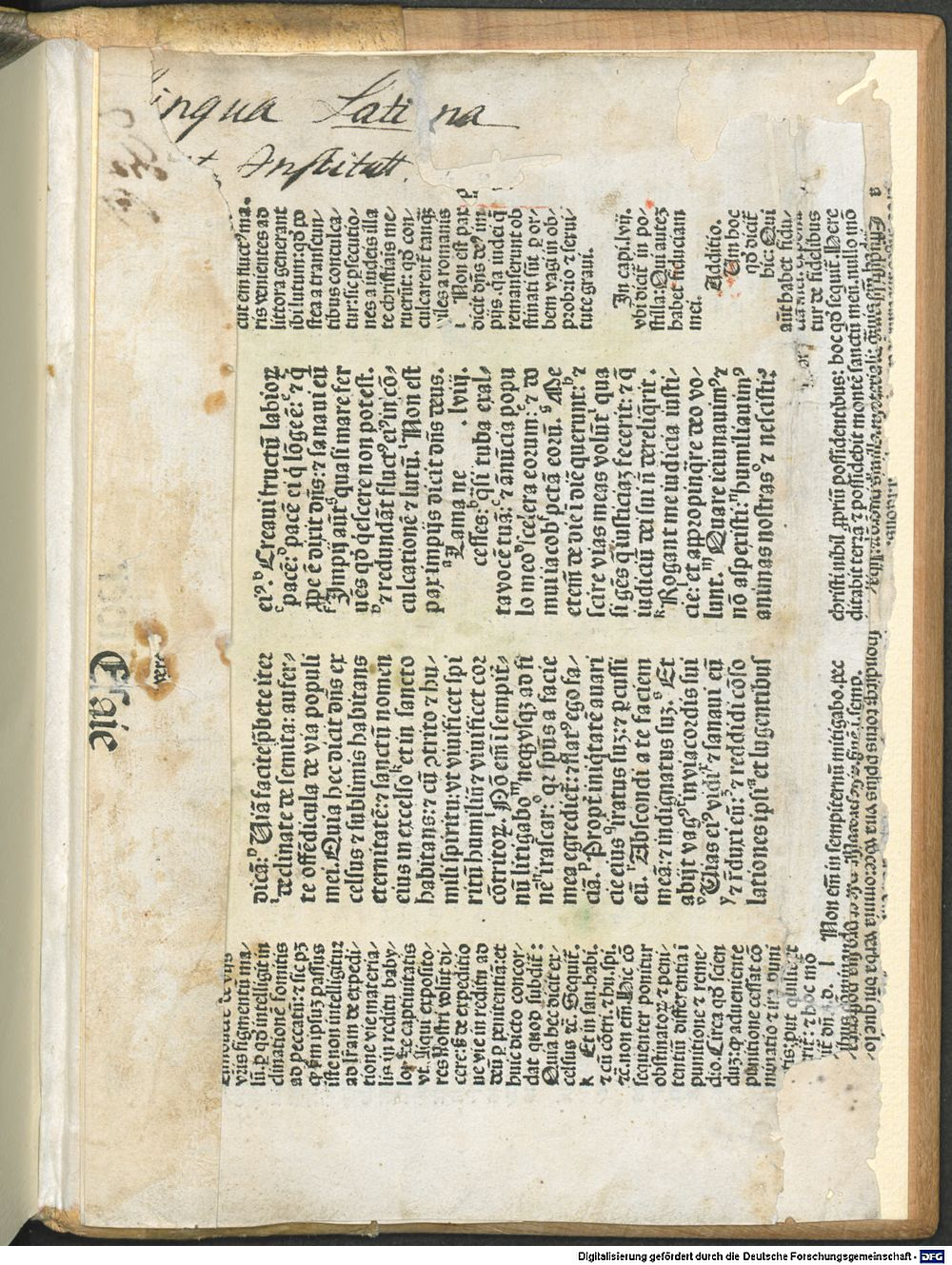 Image