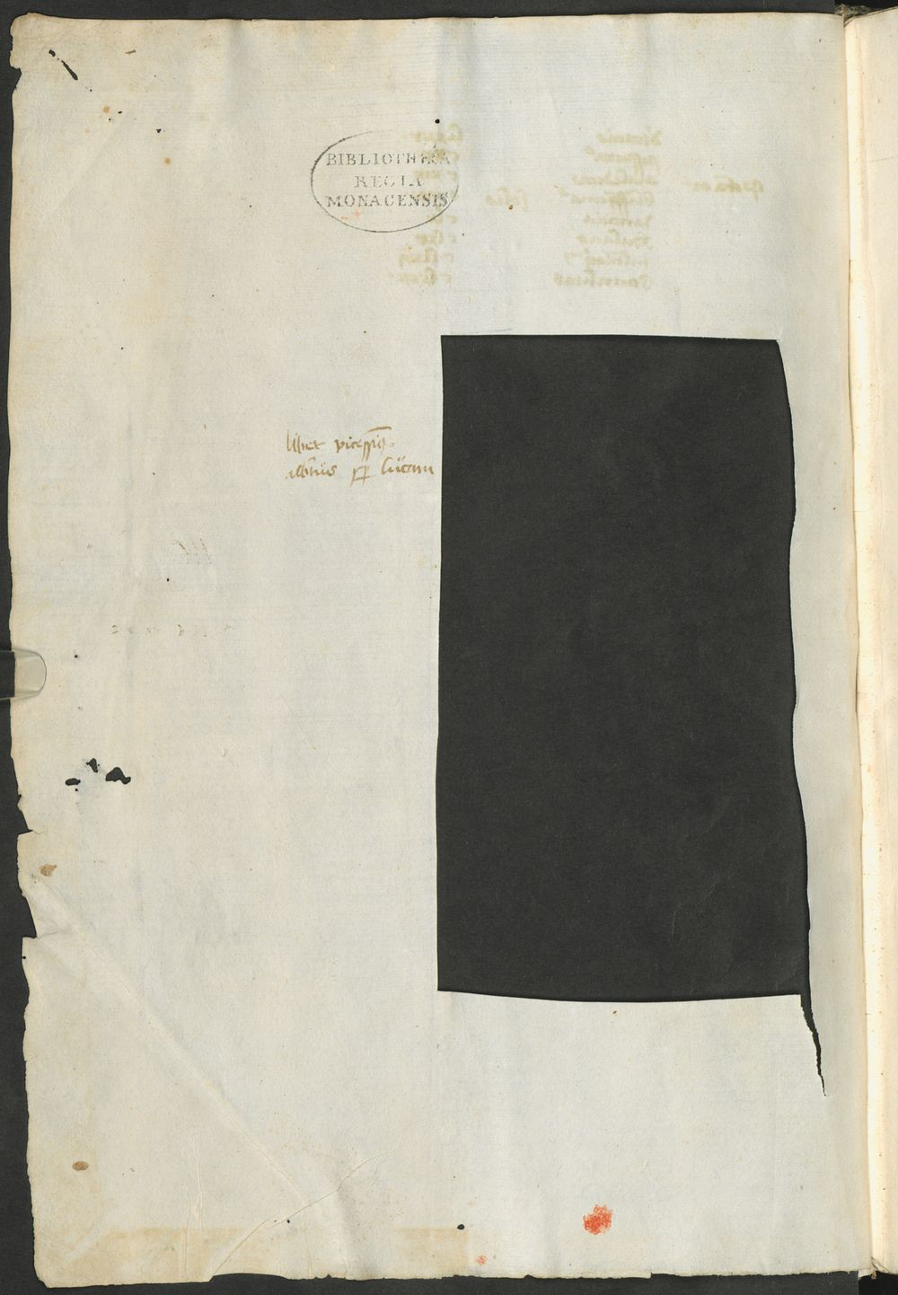 Image