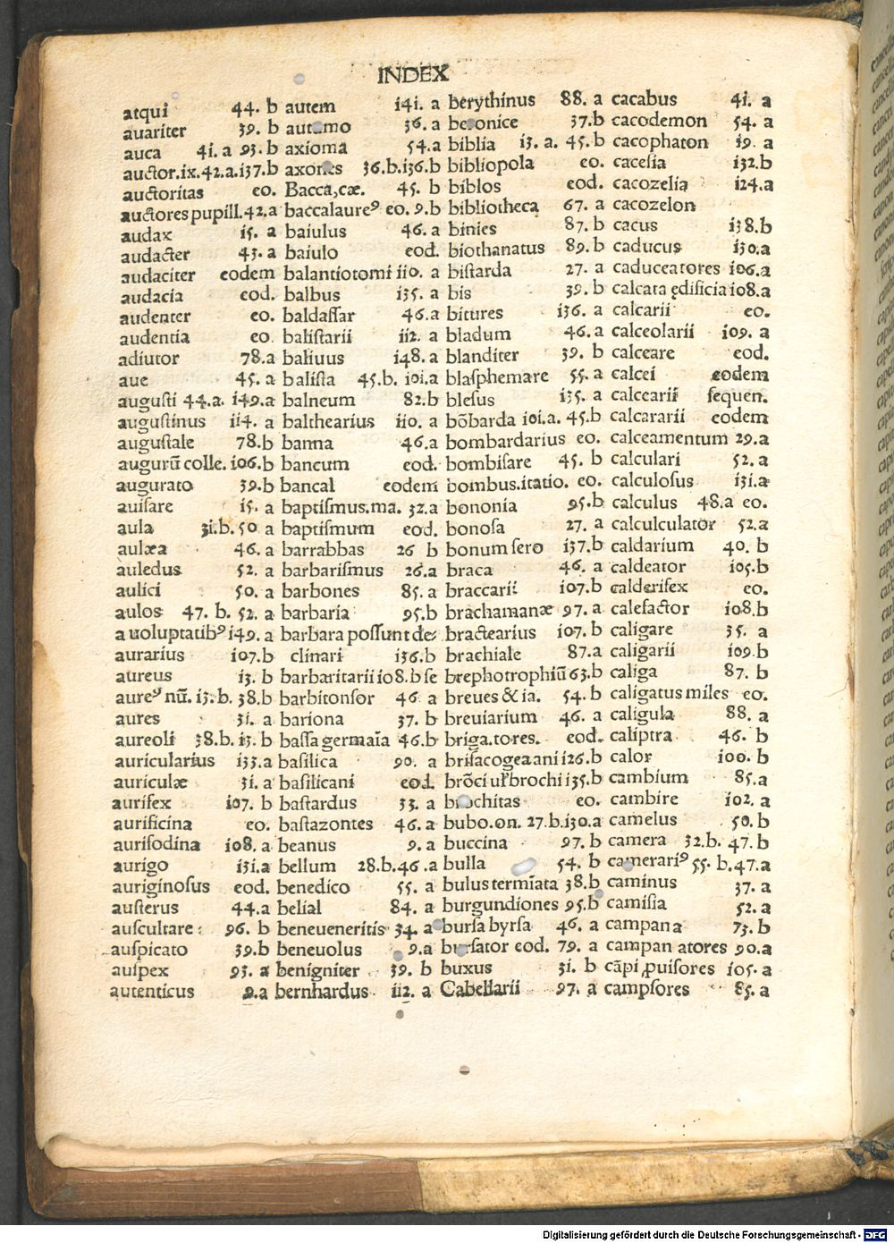 Image