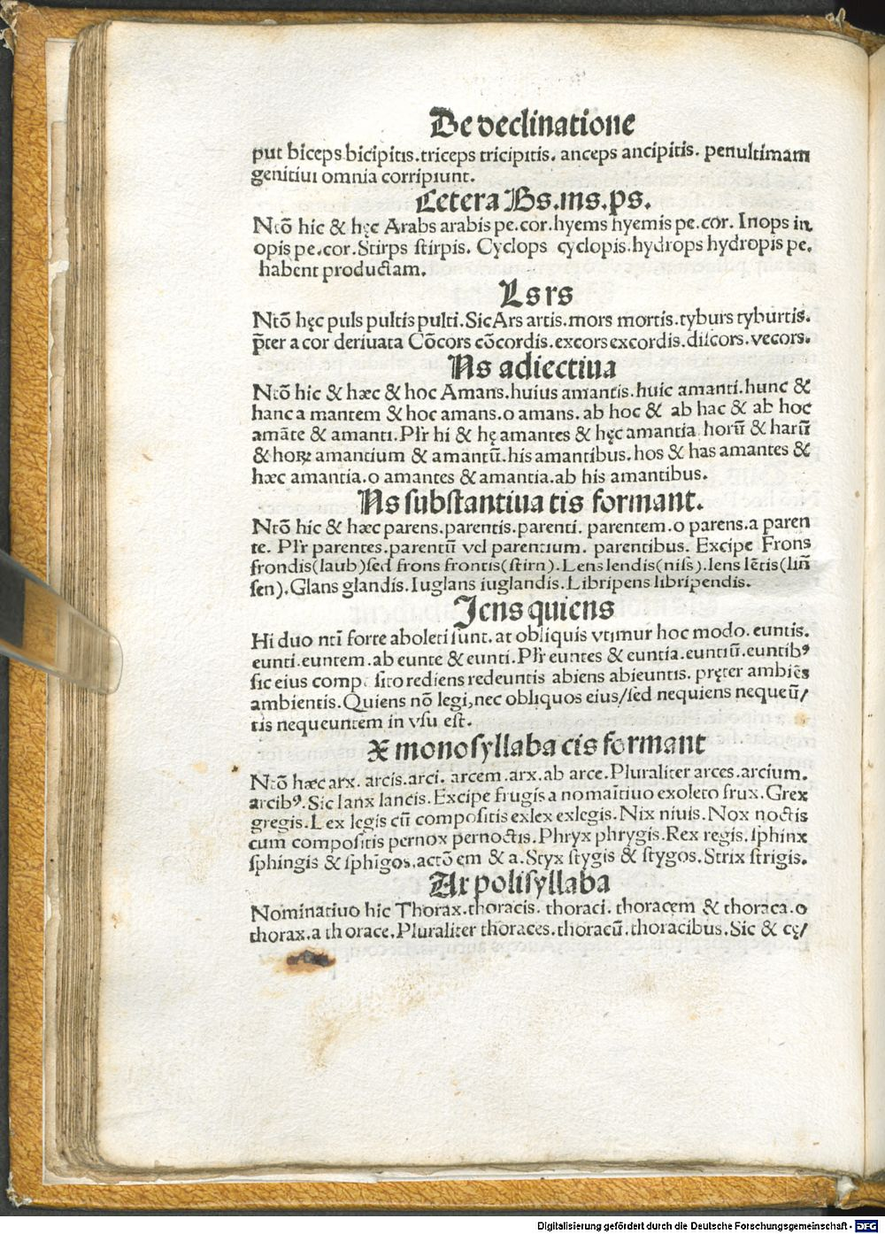 Image