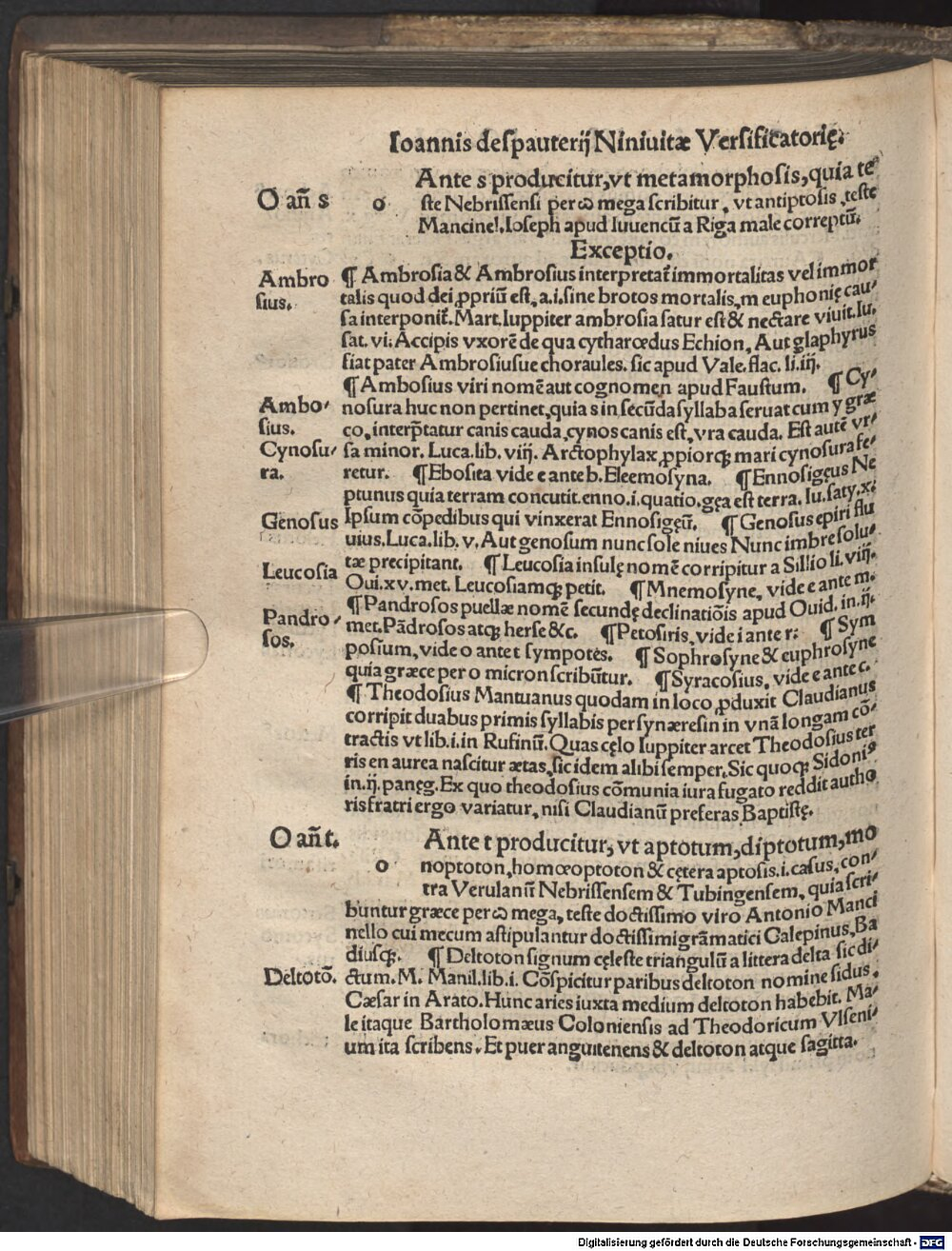 Image