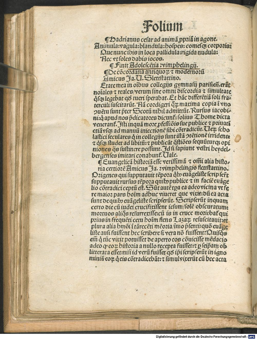 Image